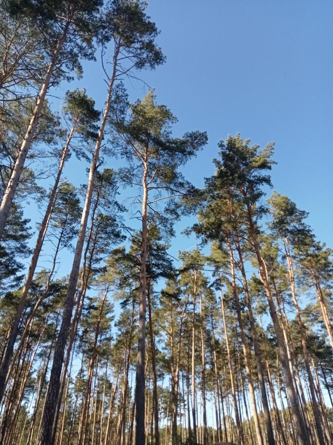 Ferienzimmer Waldzauber Borkwalde Exteriér fotografie