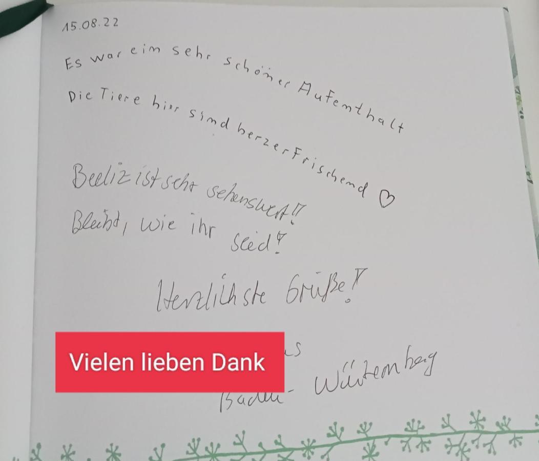 Ferienzimmer Waldzauber Borkwalde Exteriér fotografie