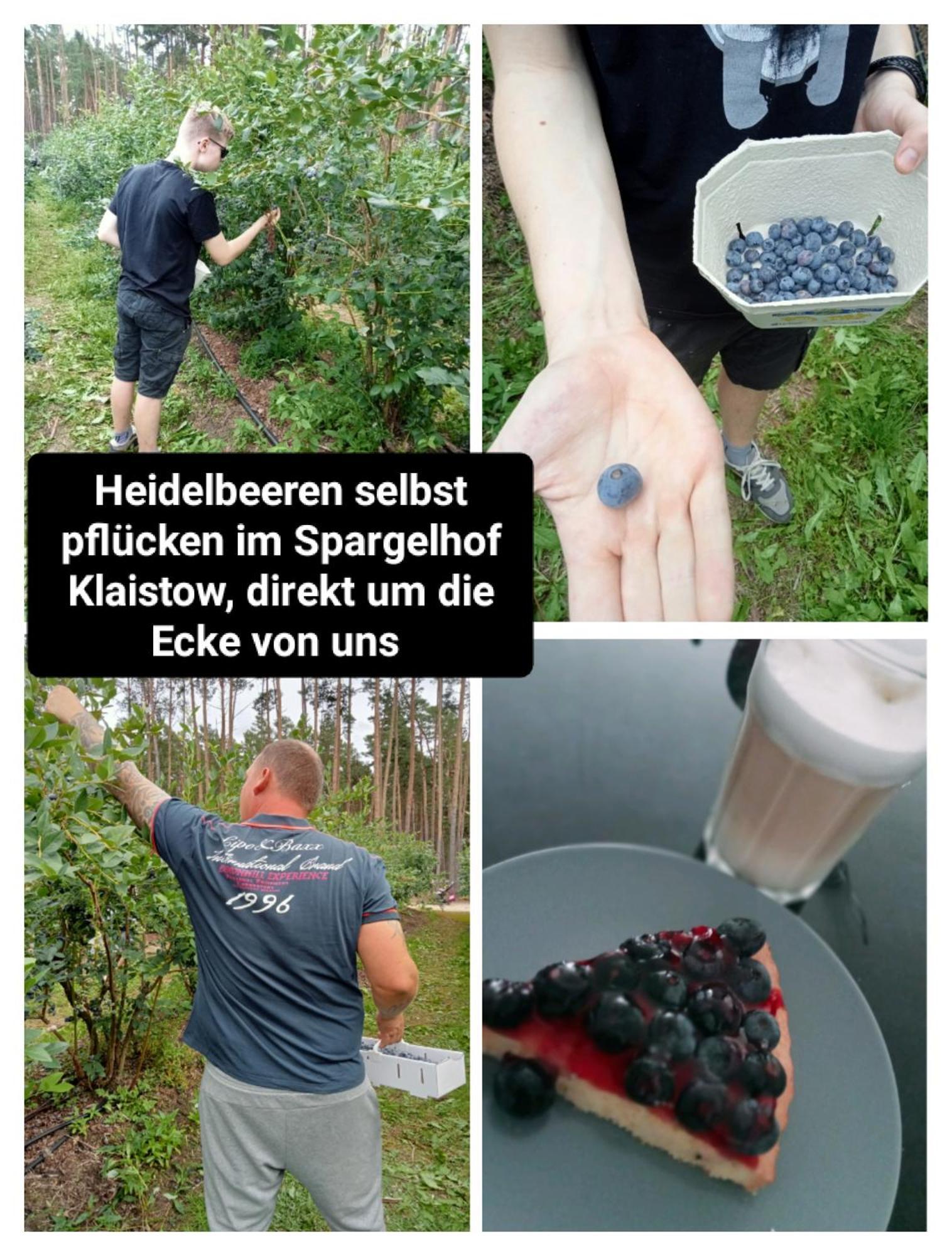 Ferienzimmer Waldzauber Borkwalde Exteriér fotografie